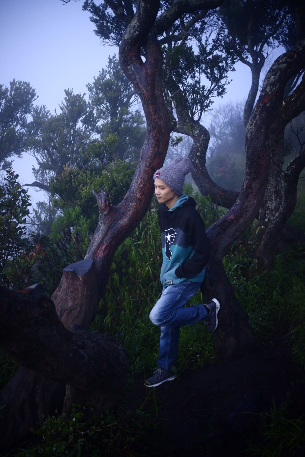 Peserta wisata bromo berfoto di bukit kelinci gunung bromo