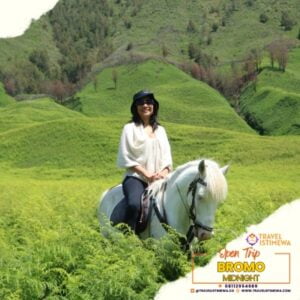 open trip bromo midnight