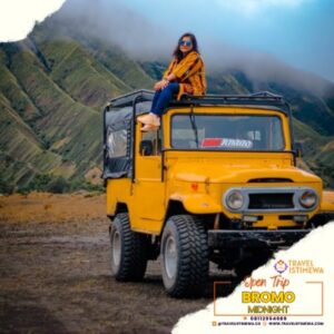 open trip bromo sunrise